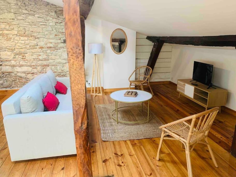 Spacieux Appartement En Plein Coeur De Castres Castres  Esterno foto