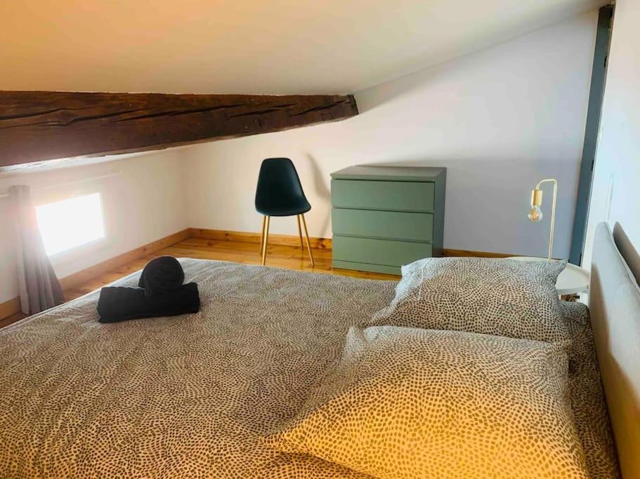 Spacieux Appartement En Plein Coeur De Castres Castres  Esterno foto